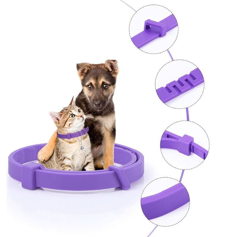 CALMDOG - Calming collar with pheromones for relaxed dogs - Image 8