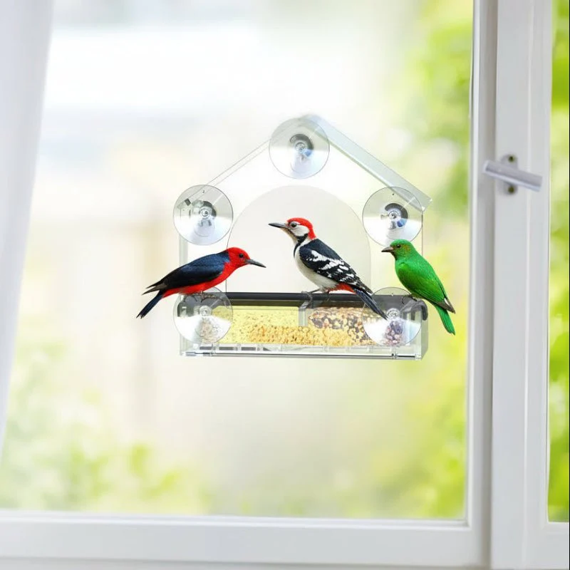BIRDVISTA – Acrylic Window Bird Feeder with Strong Suction Cups for Close Observation - Image 2
