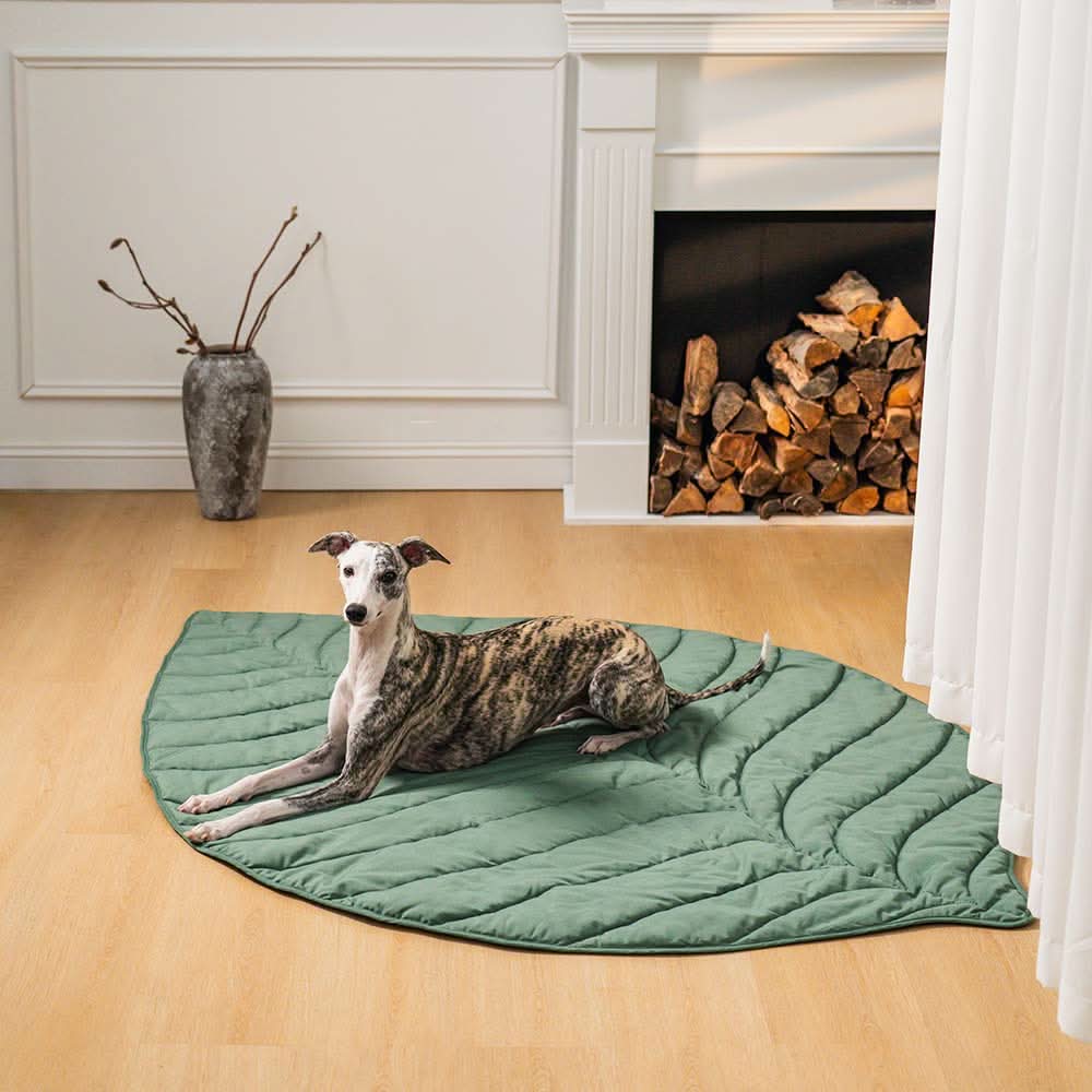 LeafPaws Blanket - Stylish dog blanket in leaf shape with soft padding & versatile use - Image 10