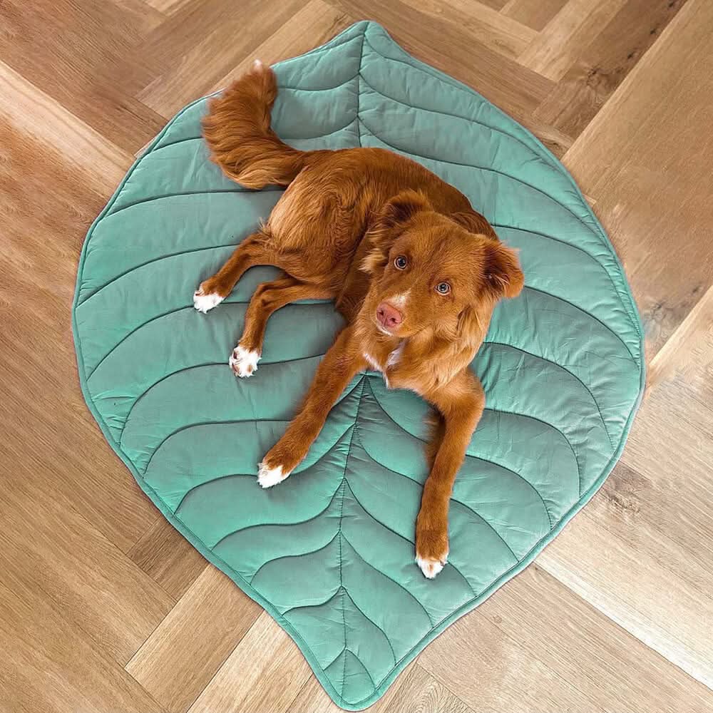 LeafPaws Blanket - Stylish dog blanket in leaf shape with soft padding & versatile use - Image 11