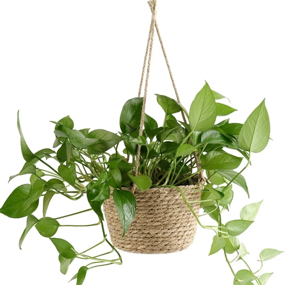 BLOOMKNOT – Rustic Hand-Knotted Macrame Plant Hanger Made of Cord for Orchids and Houseplants - Image 6