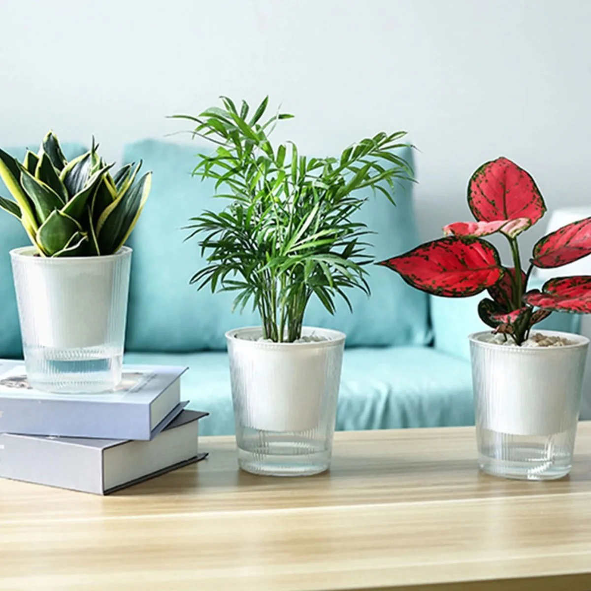 BLOOMSYNC – Self-watering, clear plant pot for effortless plant care - Image 4