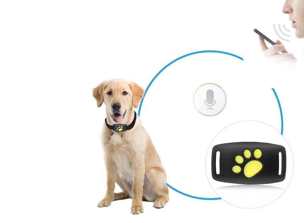 Cat GPS Tracker - real-time tracking without a subscription - Image 3