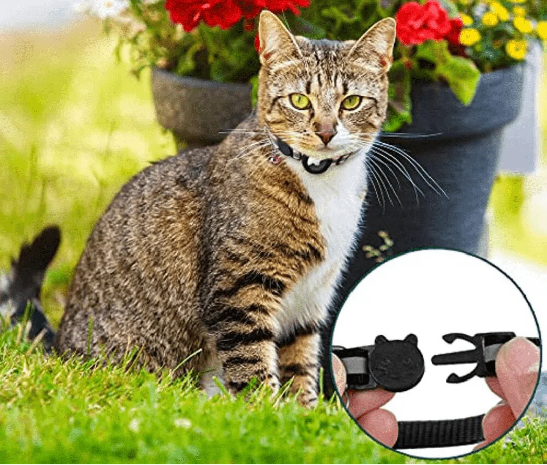 CATGUARD – GPS Collar for Cats with Reflective Design - Image 9