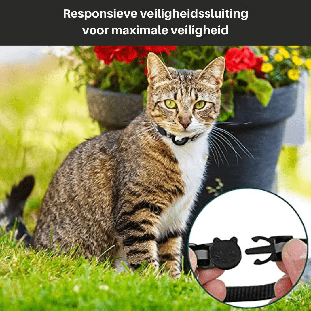 CATSAFE TRACK - GPS tracker collar for safety & visibility for cats - Image 6