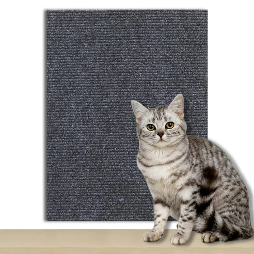 CATSTICKSHIELD – Self-adhesive protective plate for cats to protect furniture, walls & carpets - Image 9