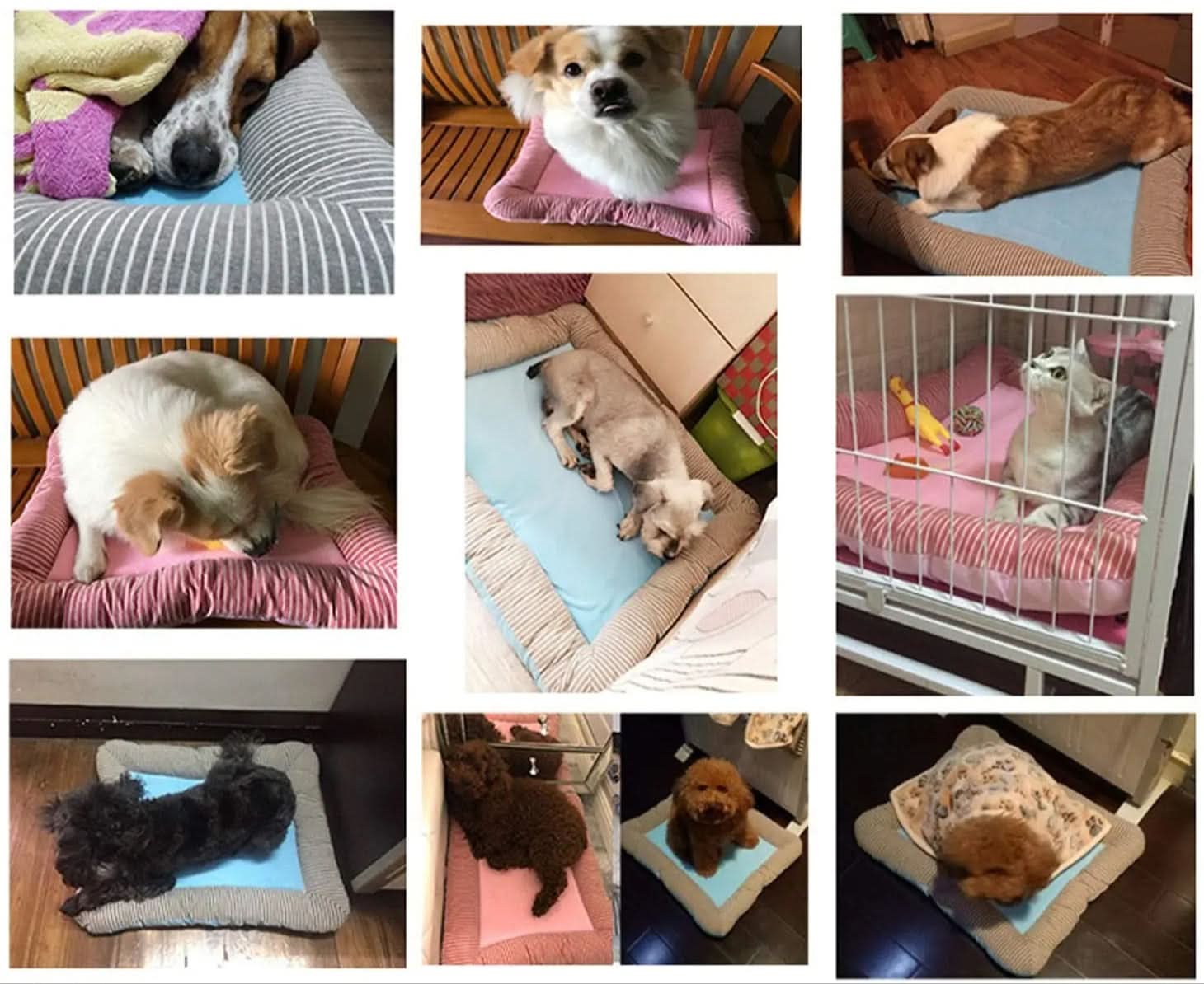 ChillPaw – Cooling Pet Bed for Hot Days - Image 8