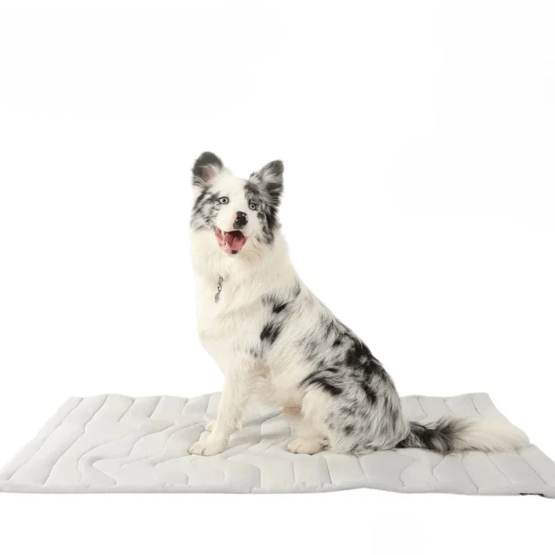 CHILLTAIL COOL MAT – Self-cooling dog mat for hot summer days - Image 2