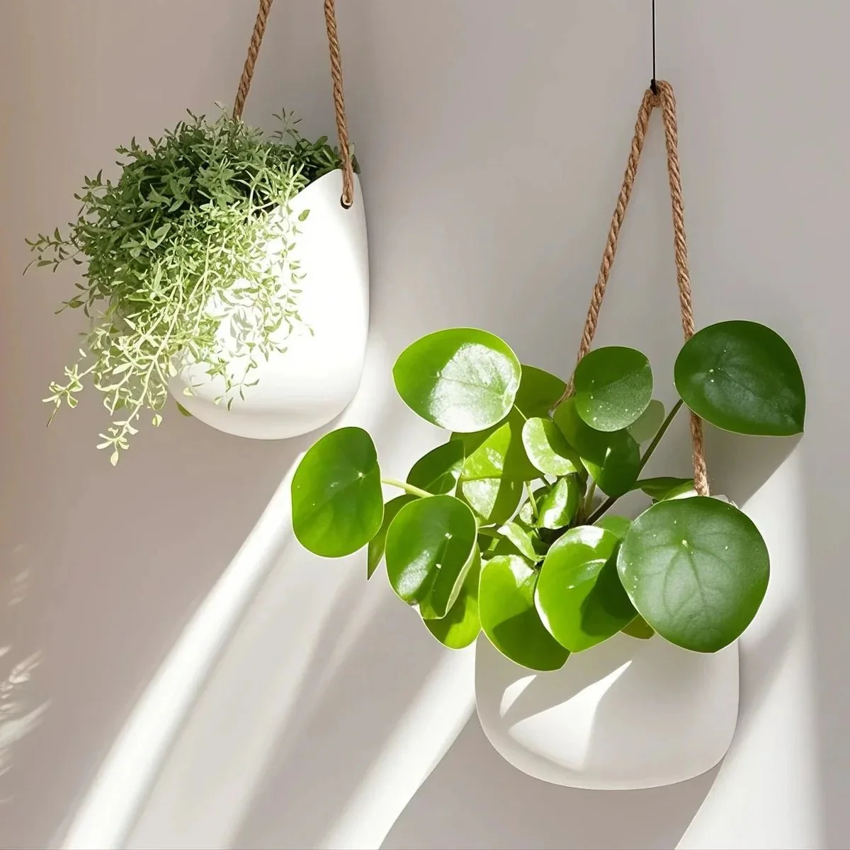 CLARORA – Elegant Wall Planter for Space-Saving Green Decoration - Image 4