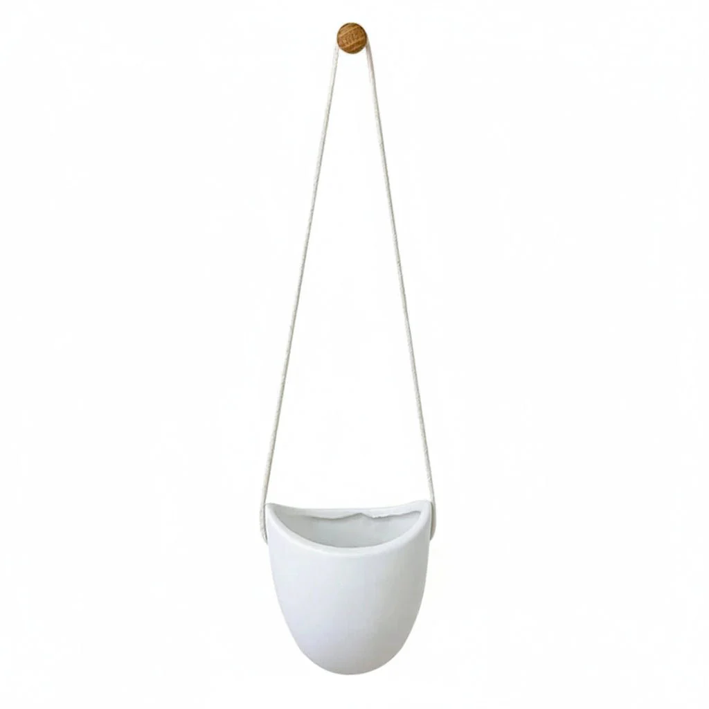 CLARORA – Elegant Wall Planter for Space-Saving Green Decoration - Image 9
