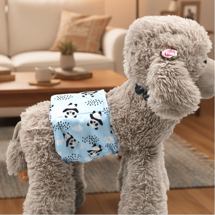 CLEANPAW - Washable dog nappies for comfort & protection against incontinence