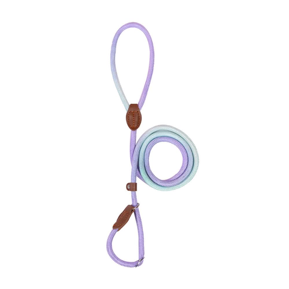 COLORLEASH – Colorful Dog Leash for Stylish Walks - Image 10