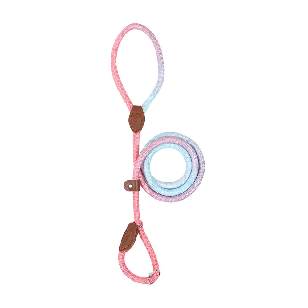 COLORLEASH – Colorful Dog Leash for Stylish Walks - Image 11