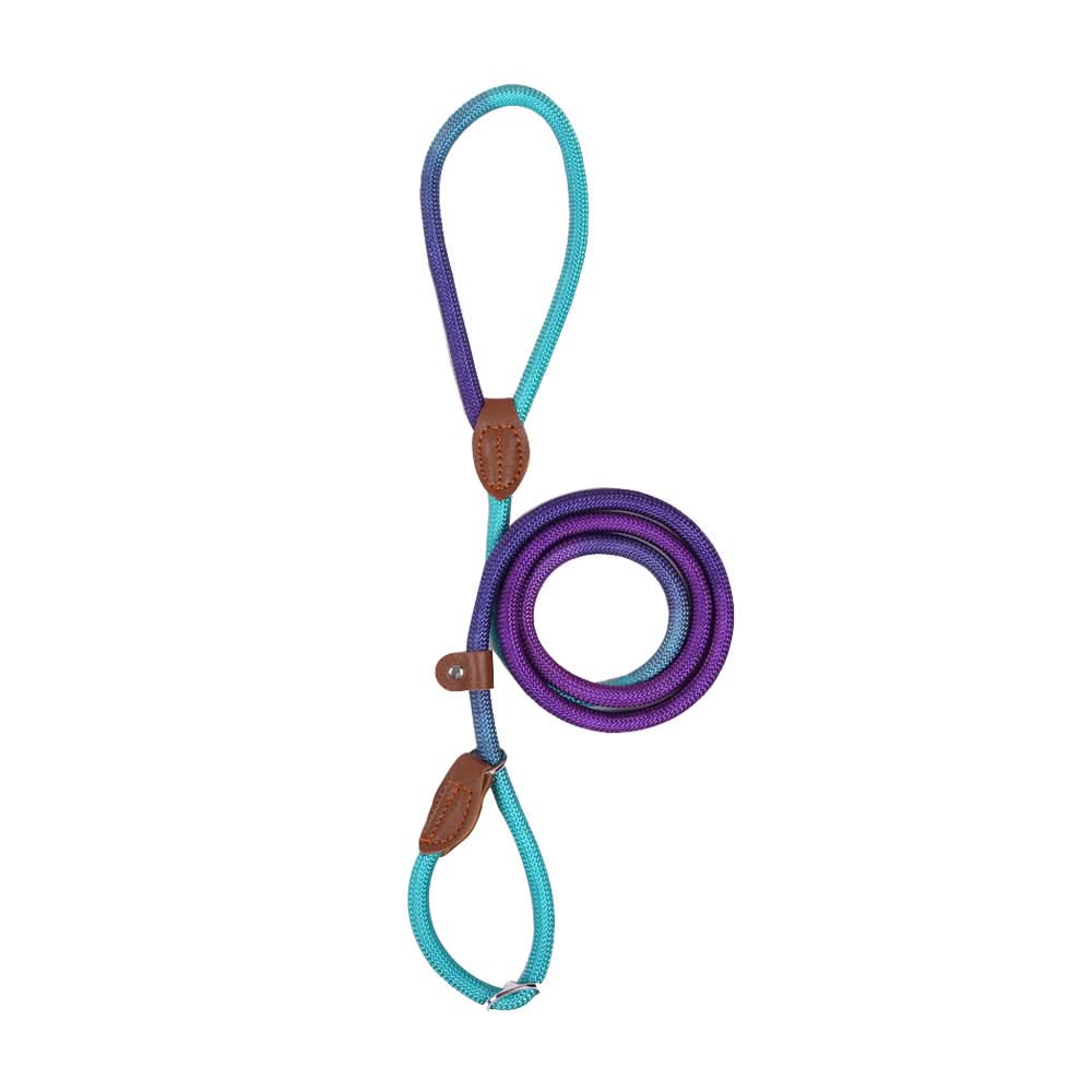 COLORLEASH – Colorful Dog Leash for Stylish Walks - Image 12