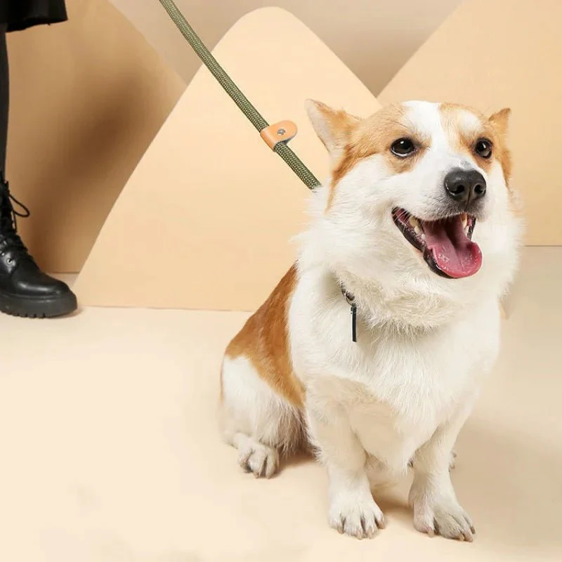 COLORLEASH – Colorful Dog Leash for Stylish Walks - Image 4