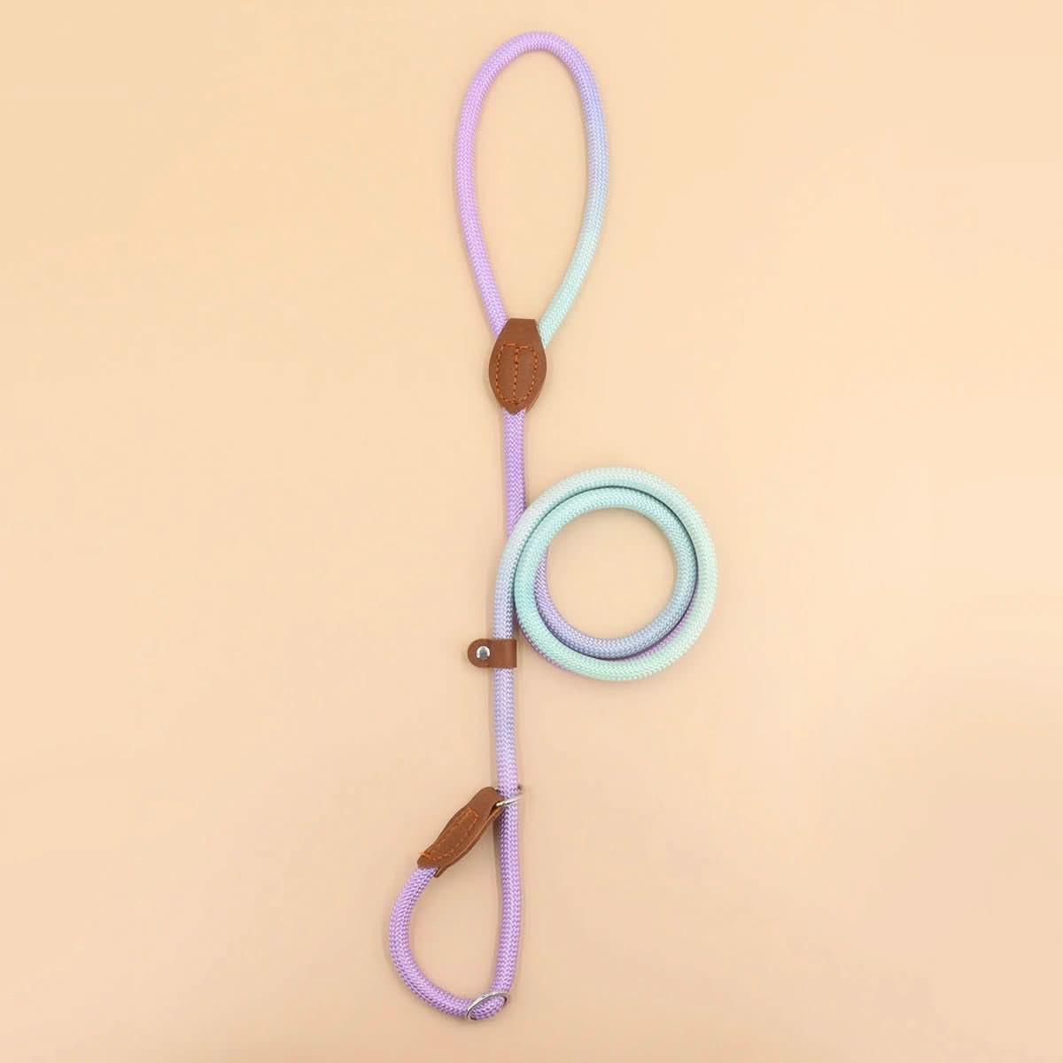 COLORLEASH – Colorful Dog Leash for Stylish Walks - Image 7