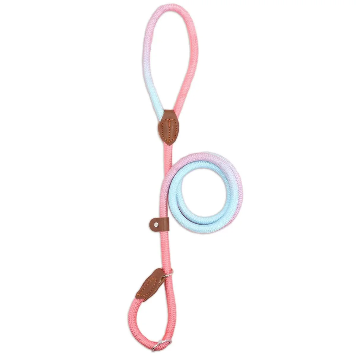 COLORLEASH – Colorful Dog Leash for Stylish Walks - Image 9