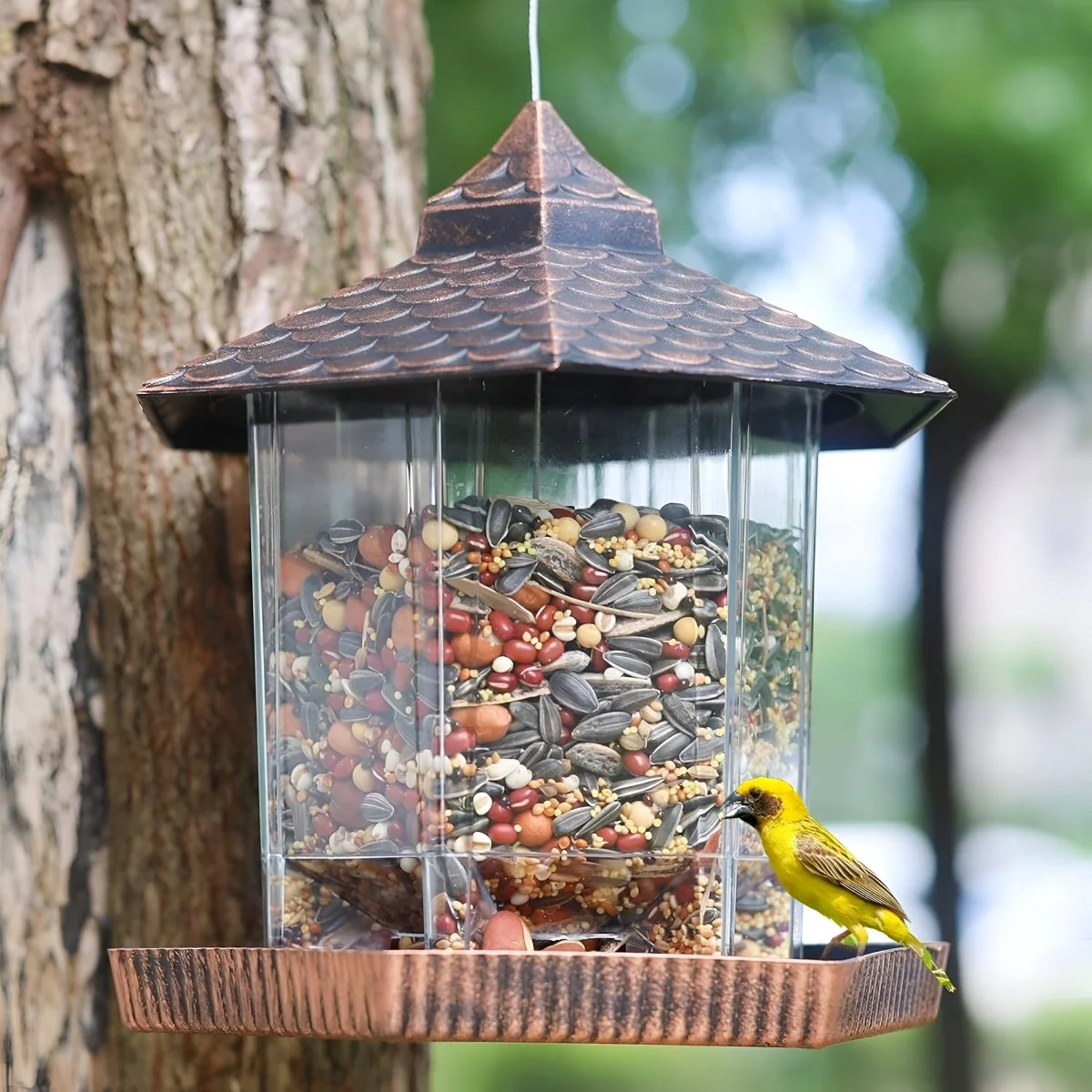COPPERSHADE – Elegant bird feeder in copper look for weatherproof hanging decoration - Image 2