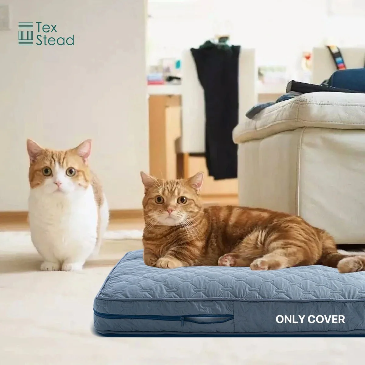 CUDDLETAIL COVER – cozy orthopedic dog bed cover for large dogs - Image 5