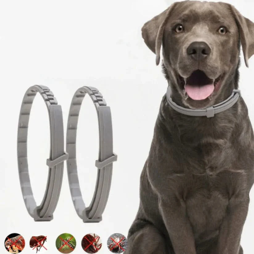 DEFENSCOLLAR – Flea & Tick Protection Collar for Dogs & Cats - Image 3
