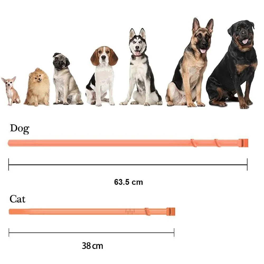 DEFENSCOLLAR – Flea & Tick Protection Collar for Dogs & Cats - Image 6