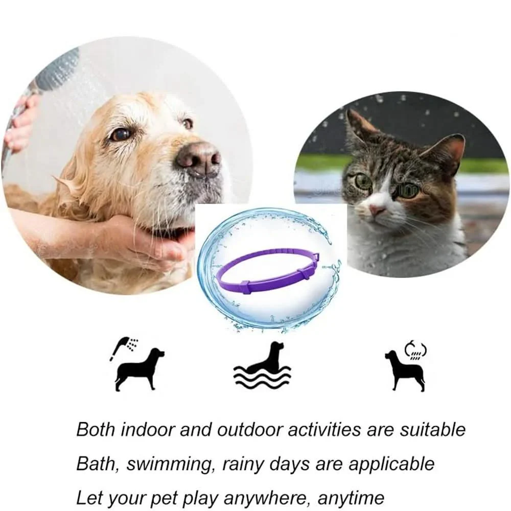 DEFENSCOLLAR – Flea & Tick Protection Collar for Dogs & Cats - Image 8