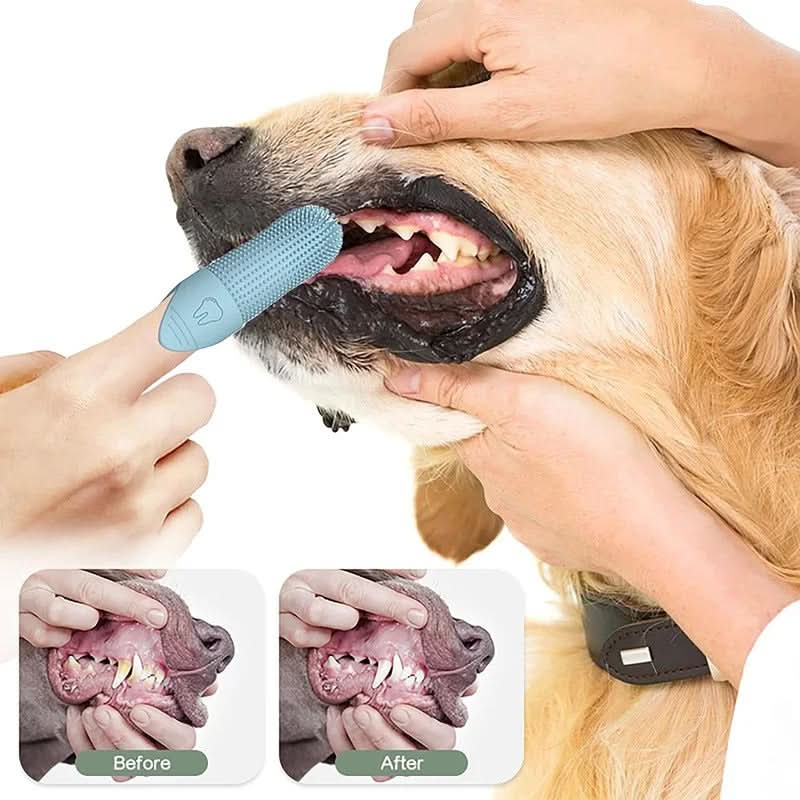 DENTEEZ – 360° Finger Toothbrush for Dogs & Cats - Image 4
