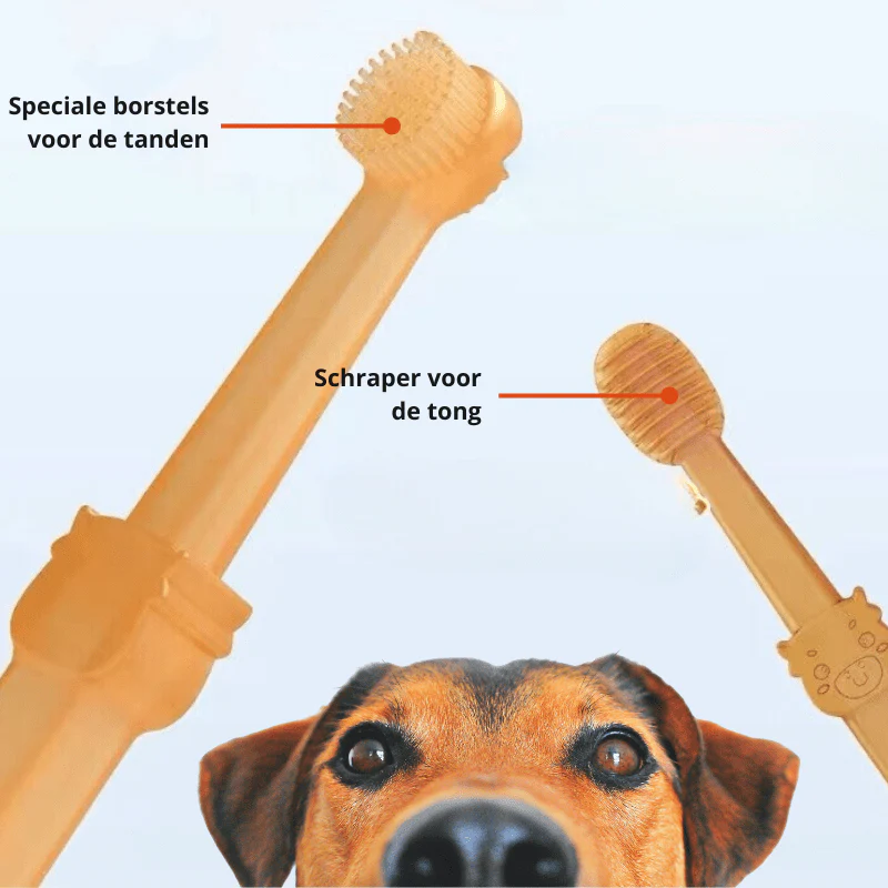 DOGGYDENT - Gentle silicone toothbrush for dogs & cats - Image 4