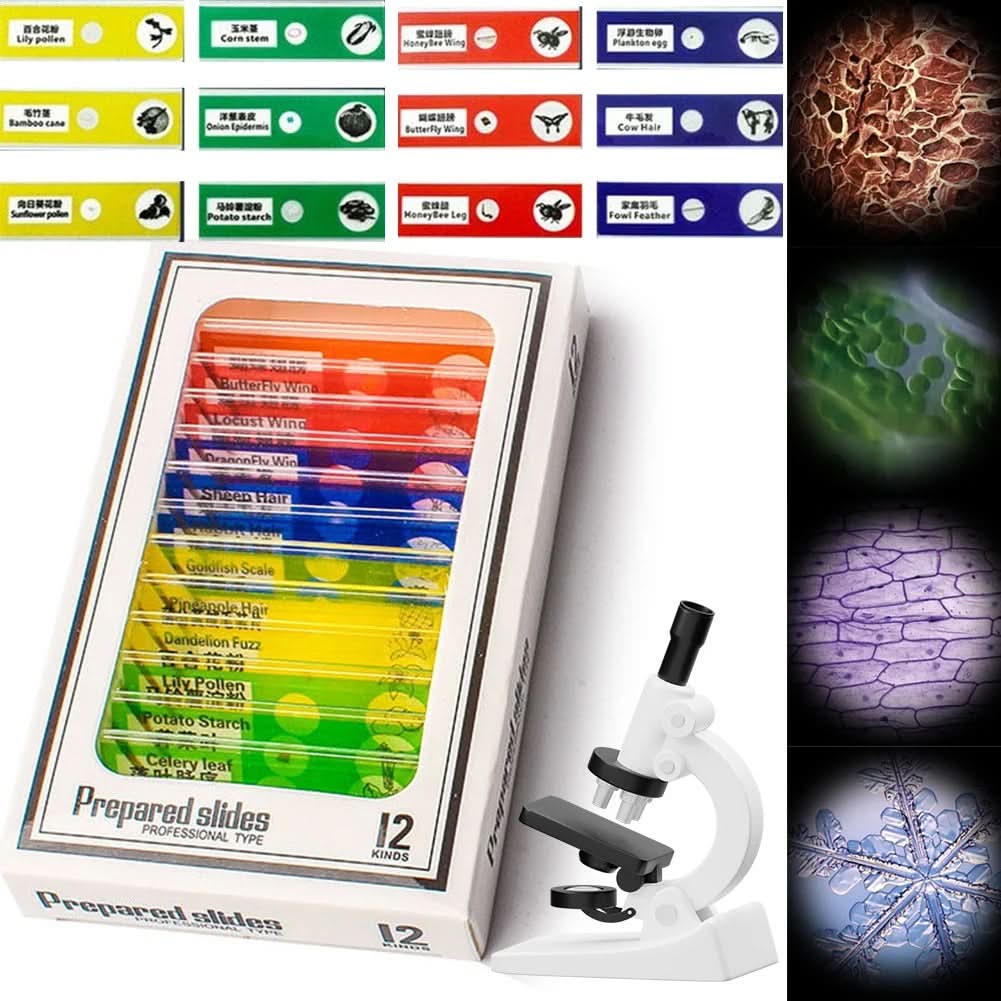 ExplorerLens - Portable microscope for young explorers - Image 4