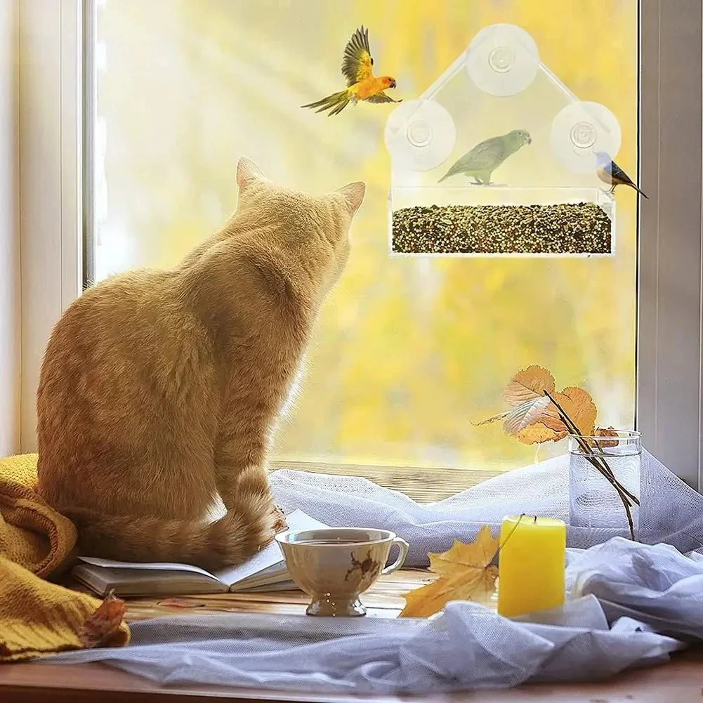 FEEDPEEK – Clear window bird feeder with suction cups - Image 2