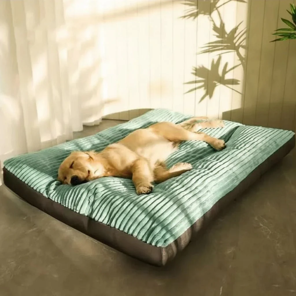 FluschNest orthopaedic dog bed - Cosy & supportive for restful nights - Image 3