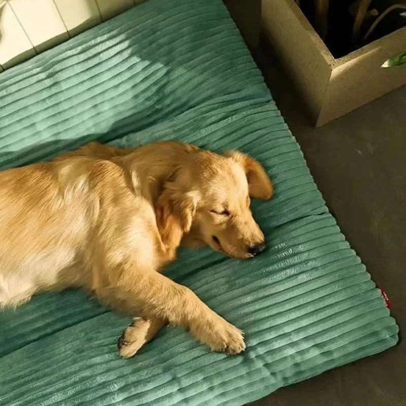 FluschNest orthopaedic dog bed - Cosy & supportive for restful nights - Image 4