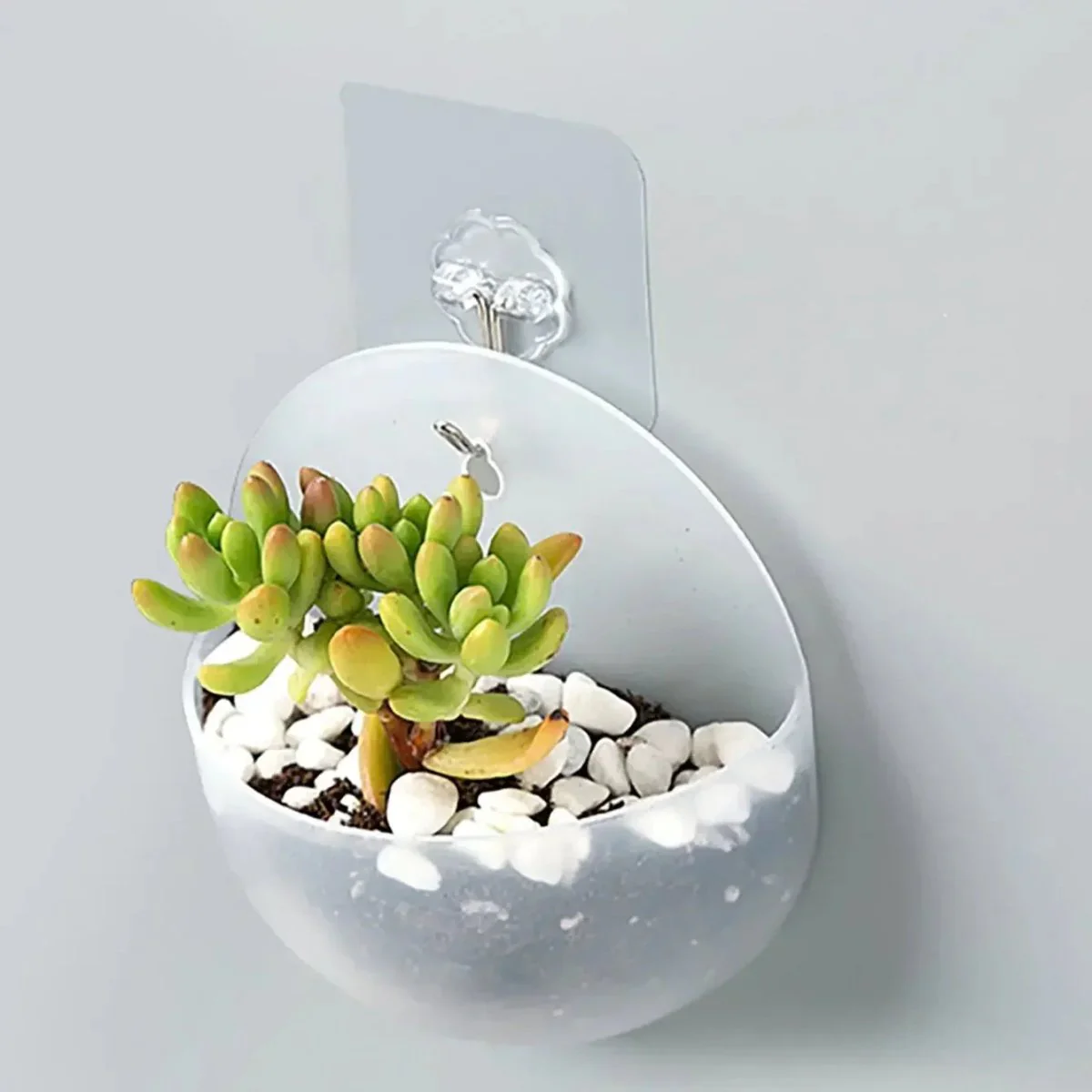 FLOWWALL – Hydroponic Wall Plant Container for Modern Indoor Greening - Image 6