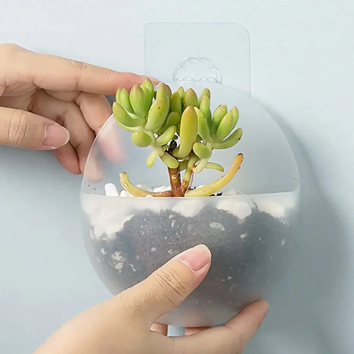 FLOWWALL – Hydroponic Wall Plant Container for Modern Indoor Greening - Image 7