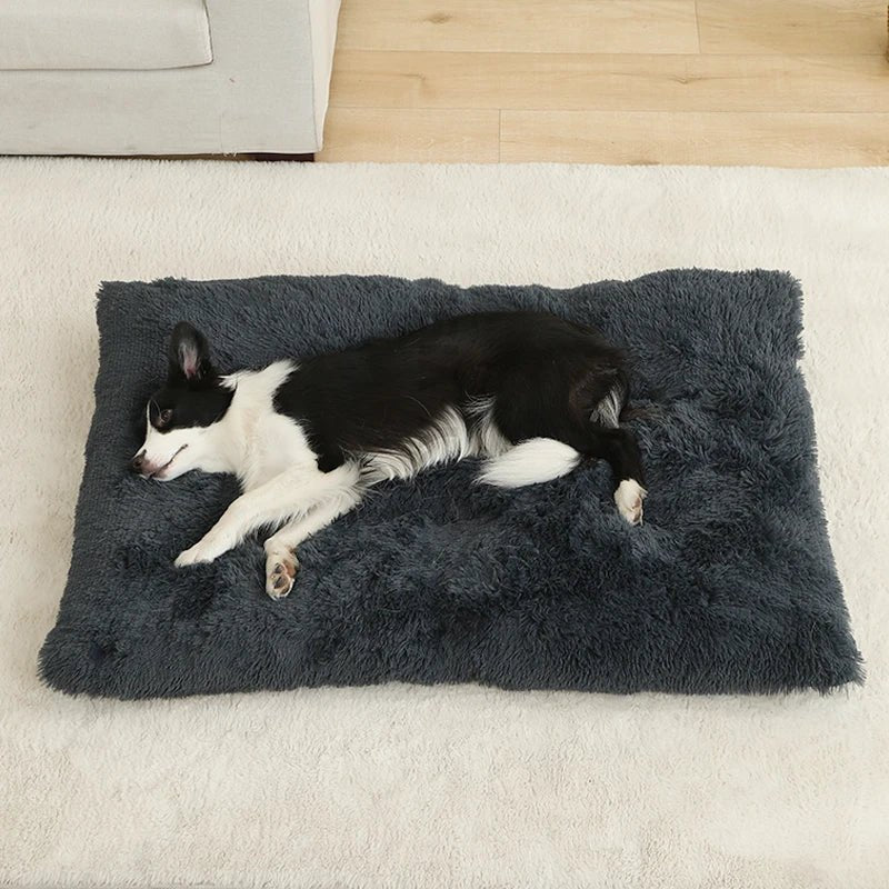 FURLOUNGE – Plush Cushion Bed & Cat Pad for Daily Comfort - Image 7