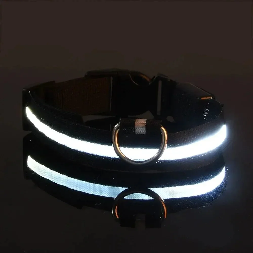 GLOWRUN – LED Safety Dog Collar with Adjustable Fit - Image 13