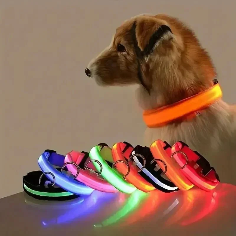 GLOWRUN – LED Safety Dog Collar with Adjustable Fit - Image 4