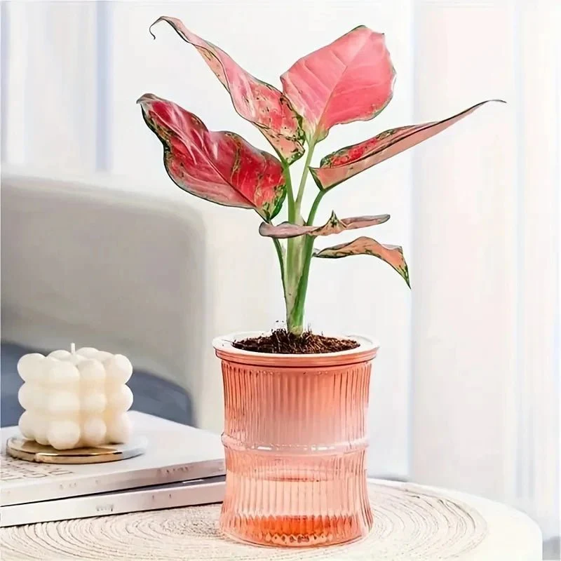 GREENCORE – Sustainable self-watering indoor pot with double-walled structure