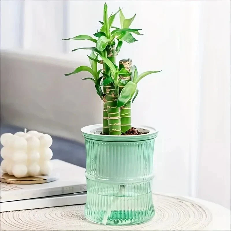 GREENCORE – Sustainable self-watering indoor pot with double-walled structure - Image 5