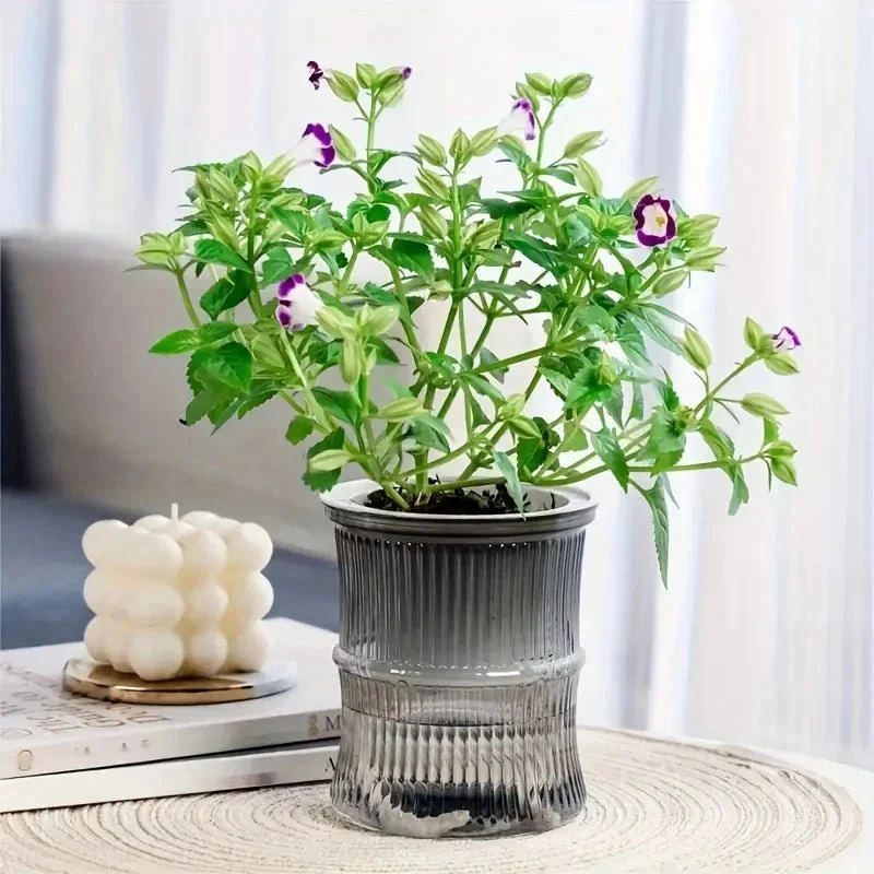 GREENCORE – Sustainable self-watering indoor pot with double-walled structure - Image 6