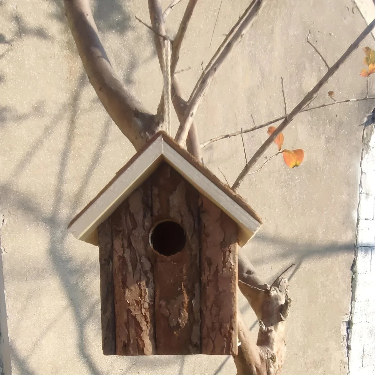 HOLLOWSHED – High-quality wooden bird protection with natural air circulation - Image 7