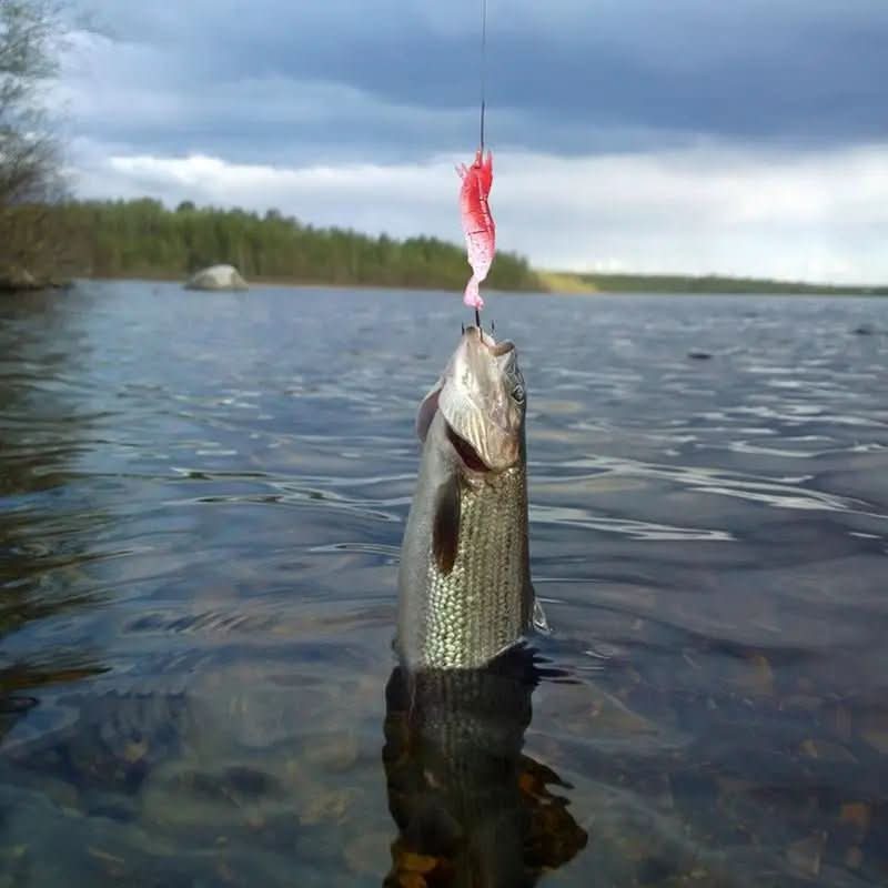HookQuest Advent Calendar 2025 – 24 High-Quality Fishing Lures for Freshwater & Saltwater - Image 4