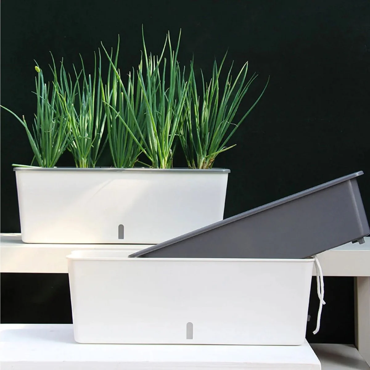 HYDRONEST – Self-watering Plant Container for Continuous Moisture Control - Image 5