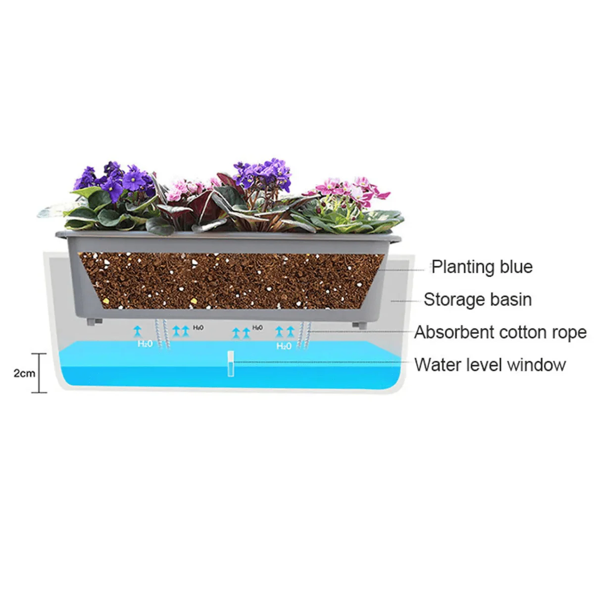 HYDRONEST – Self-watering Plant Container for Continuous Moisture Control - Image 6