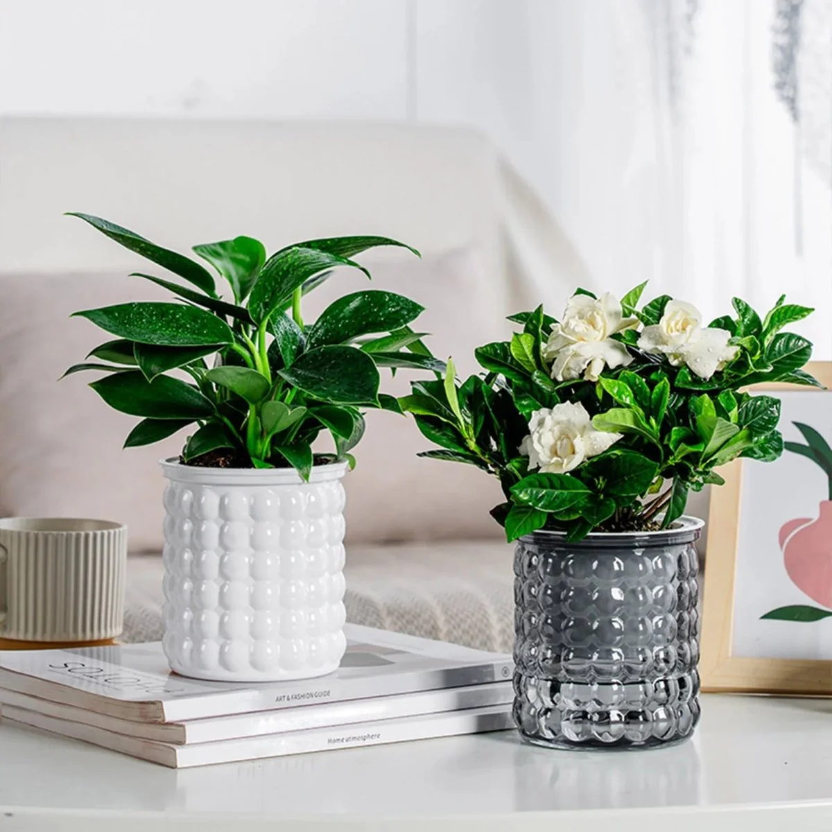 HYDROZEN – Environmentally Friendly Water Culture Flowerpot with Self-Watering - Image 3