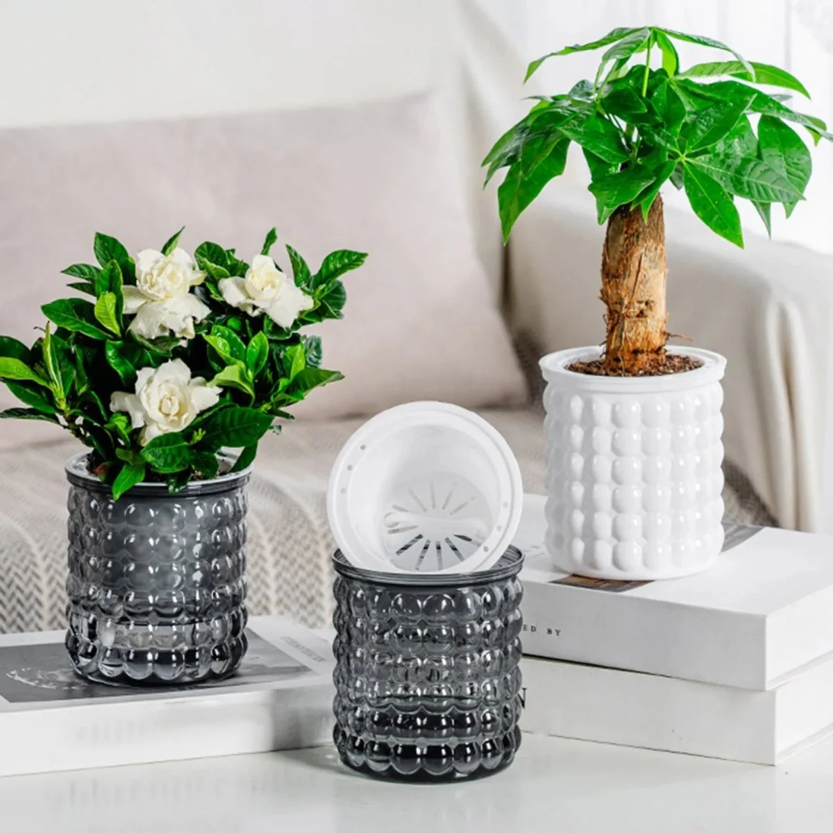 HYDROZEN – Environmentally Friendly Water Culture Flowerpot with Self-Watering - Image 4