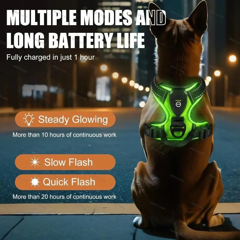 ILLUMI DOGTREK – Rechargeable LED Dog Harness for Increased Safety at Night - Image 3