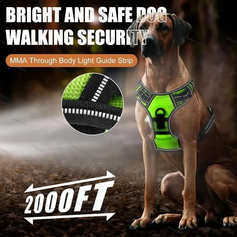 ILLUMI DOGTREK – Rechargeable LED Dog Harness for Increased Safety at Night - Image 4
