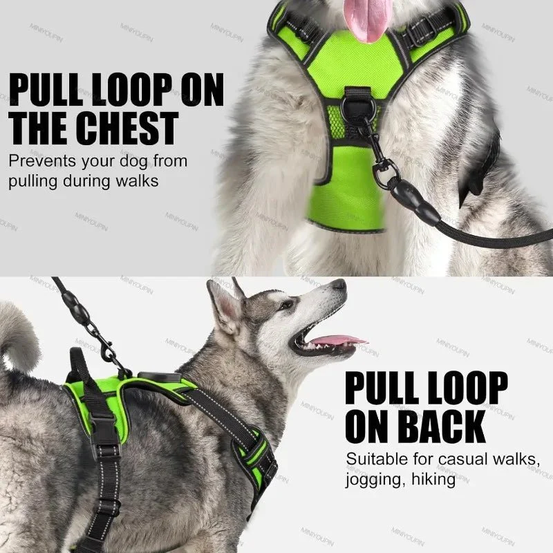 ILLUMI DOGTREK – Rechargeable LED Dog Harness for Increased Safety at Night - Image 7
