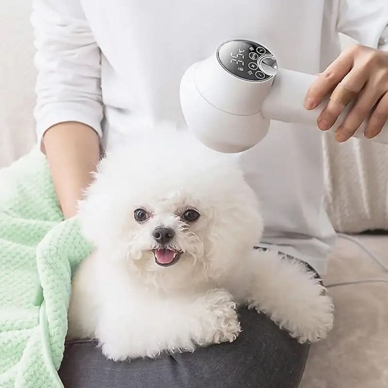 IONIGROOM – Quiet Hair Dryer with Ion Technology for Pets - Image 3